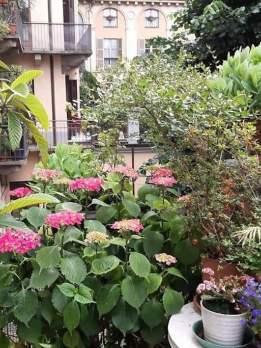 Con Terrazzo Nel Centro Di *