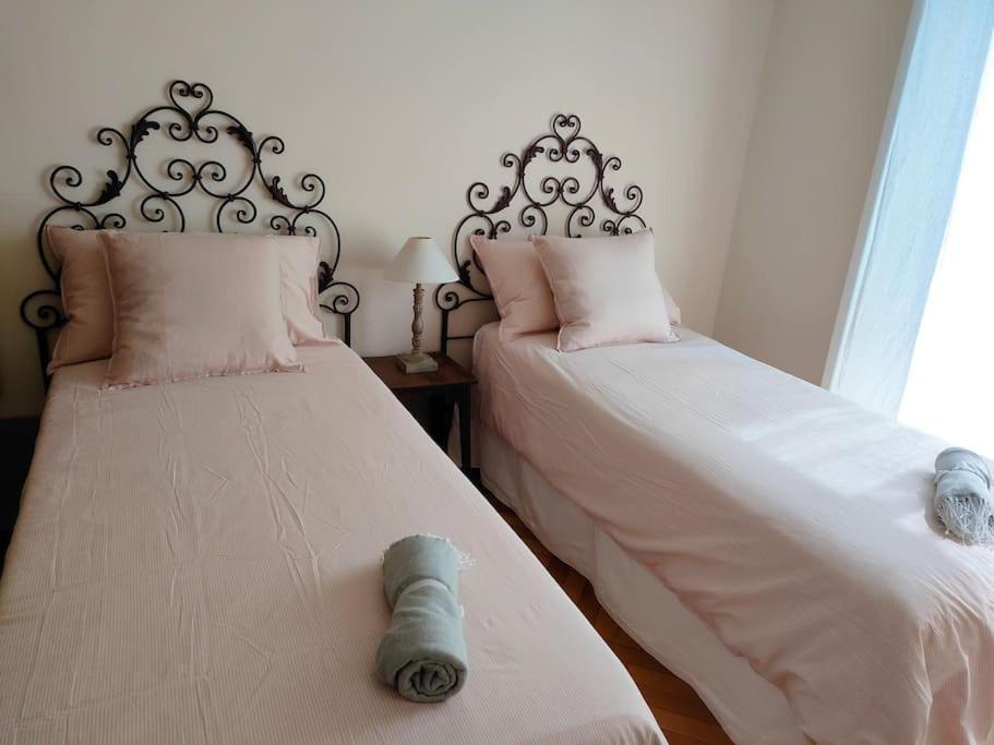 Appartement Con Terrazzo Nel Centro Di Turijn
